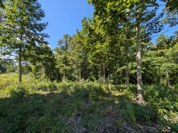 331 Ridgetop rd, Hampshire, TN 38461