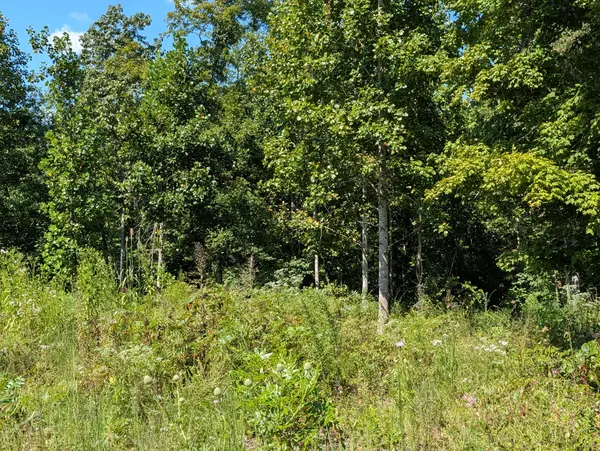 331 Ridgetop rd, Hampshire, TN 38461
