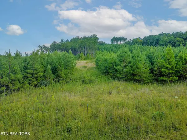 0 Three Point Rd, Madisonville, TN 37354
