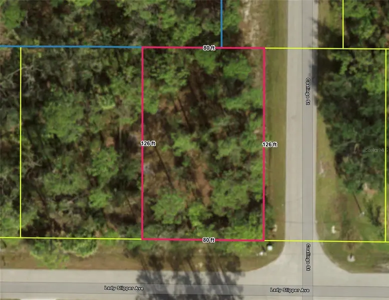 LADY SLIPPER AVE, North Port, FL 34291
