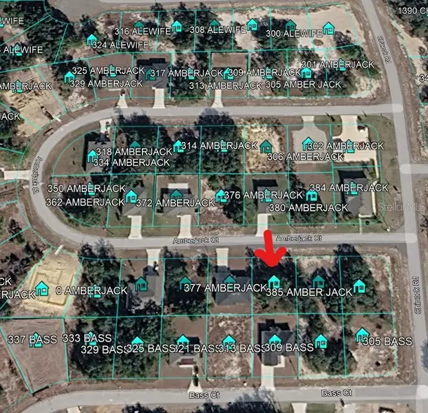 377 AMBERJACK CT, Kissimmee, FL 34759