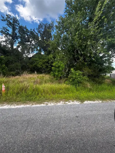 LEE ST, Bowling Green, FL 33834
