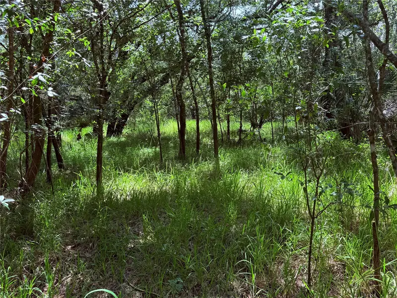 NE RIVER RIDGE AVE, Arcadia, FL 34266