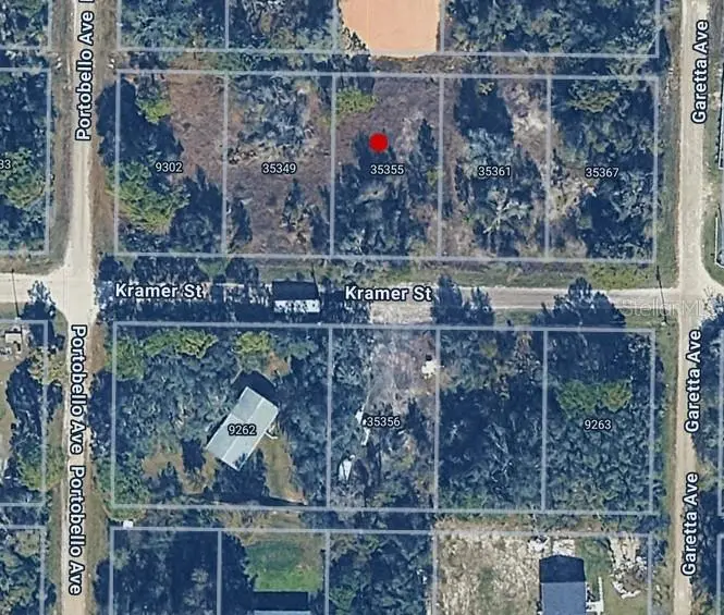 35355 KRAMER ST, Webster, FL 33597