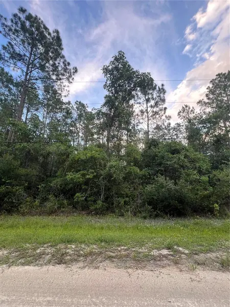 1411 ELDER ST, Bunnell, FL 32110