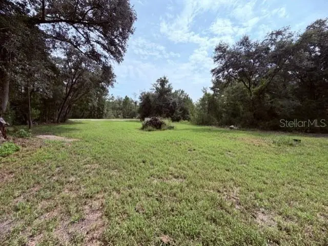 35356 KRAMER ST, Webster, FL 33597