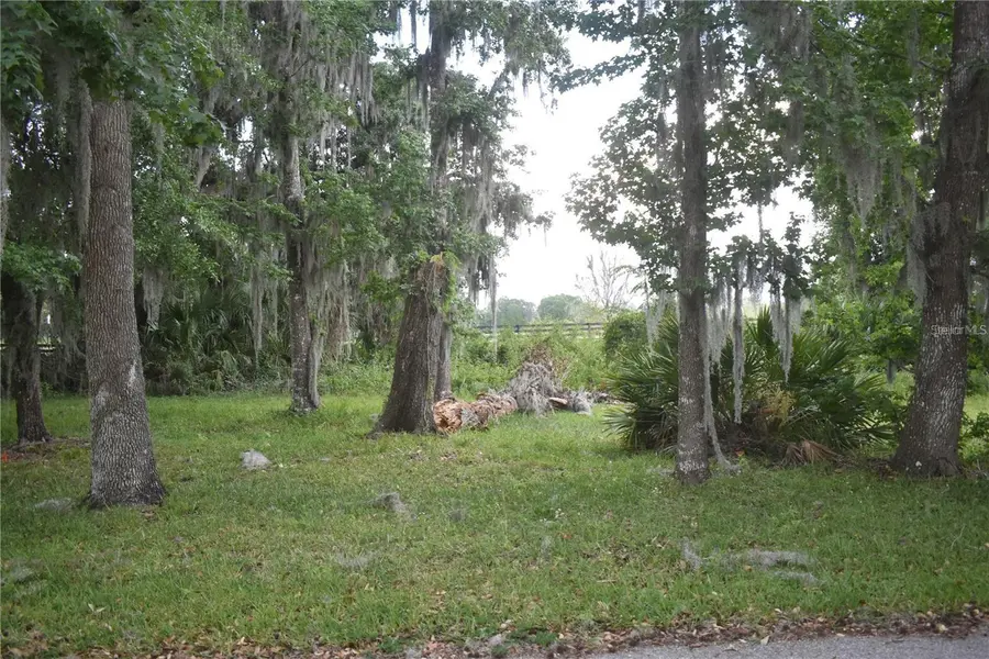 LOT 52 BLK C LEXINGTON- CIR, Wildwood, FL 34785