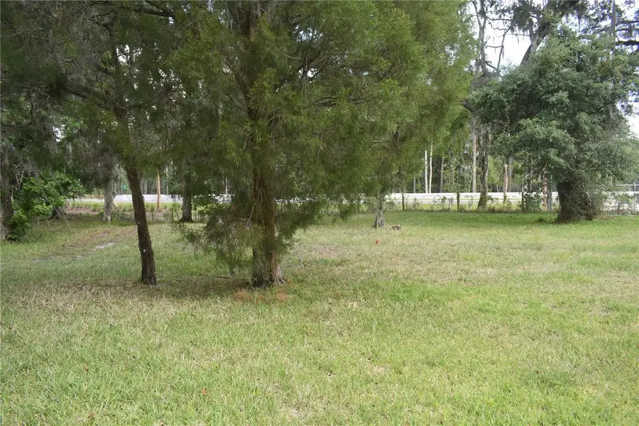 LOT 60 BLK C LEXINGTON CIR, Wildwood, FL 34785