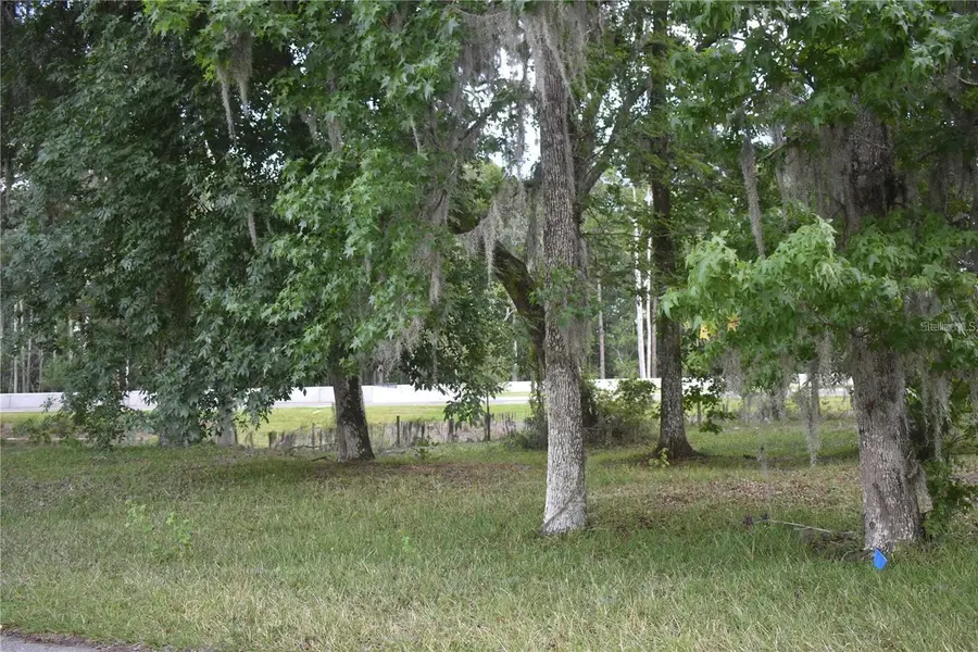 Lot 59 Blk C LEXINGTON CIR, Wildwood, FL 34785
