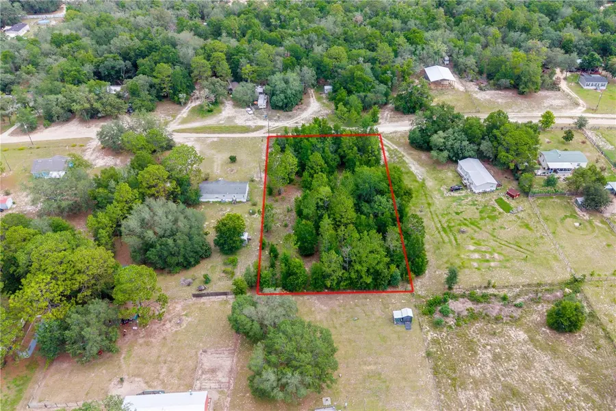 TBD NE 115 ST, Bronson, FL 32621