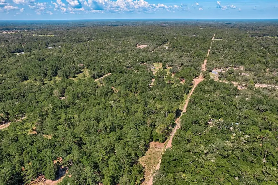 TBD NE 82ND PL, Bronson, FL 32621