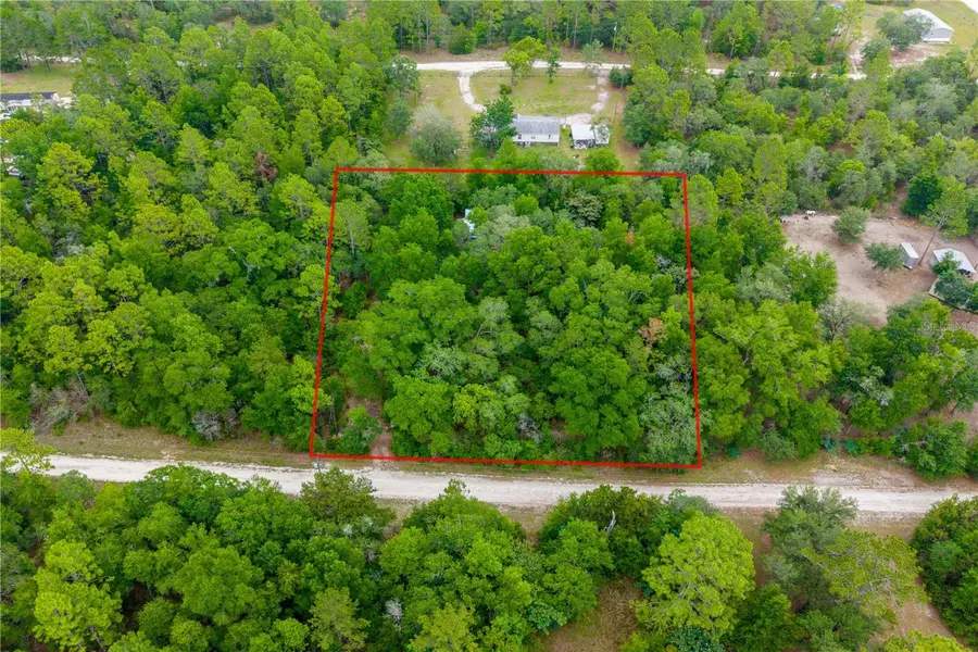 1671 NE 128TH AVE, Williston, FL 32696