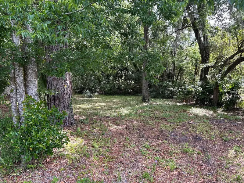 TBD SE 12TH ST, Gainesville, FL 32641