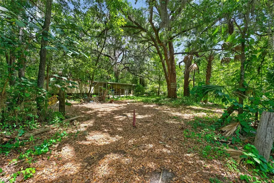 5725 NW 219TH STREET RD, Micanopy, FL 32667