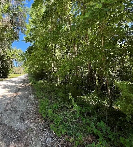 14220 NW 182ND LN, Williston, FL 32696