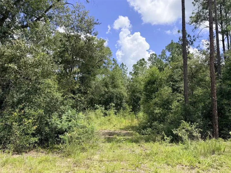 0 NE 77 PL, Bronson, FL 32621