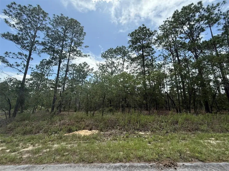 TBD TREE TOP RD, Dunnellon, FL 34431