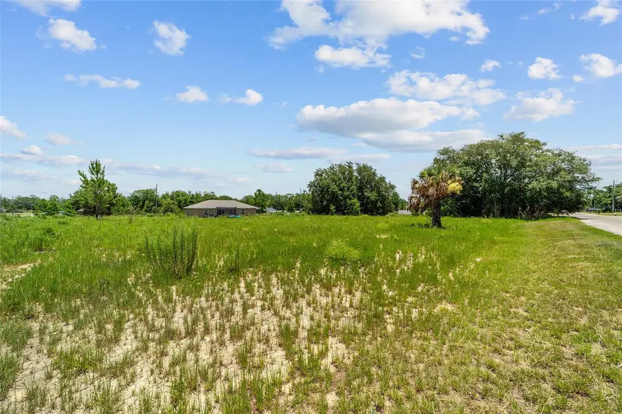 0 MALAUKA LOOP, Ocklawaha, FL 32179