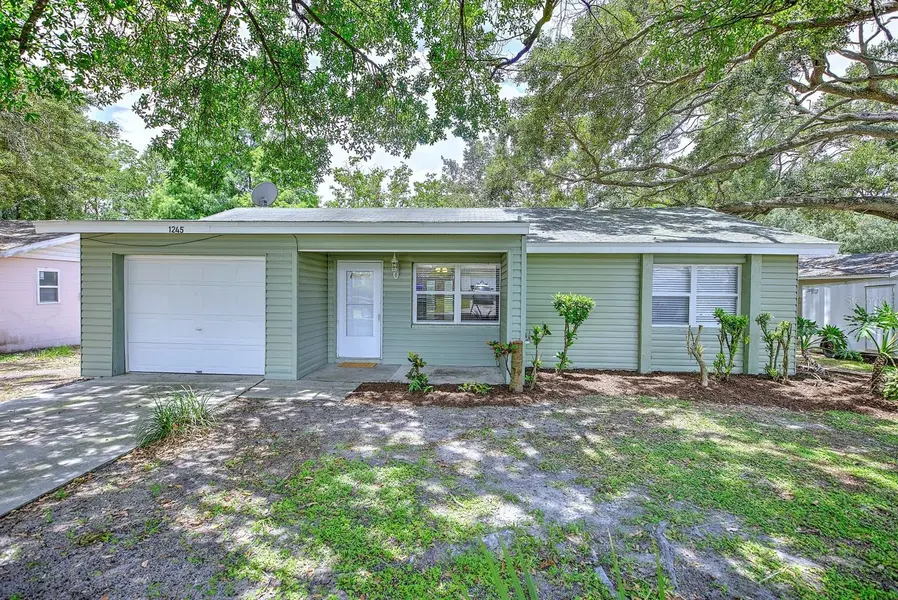 1245 HONEYTREE LN E LN E, Lakeland, FL 33801