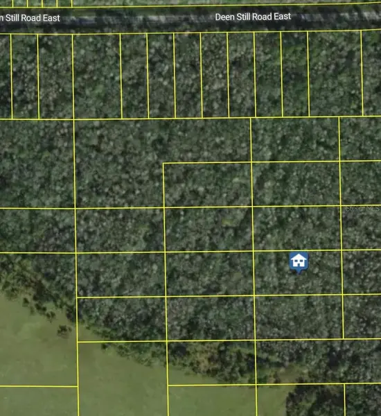 DEEN STILL RD E, Polk City, FL 33868