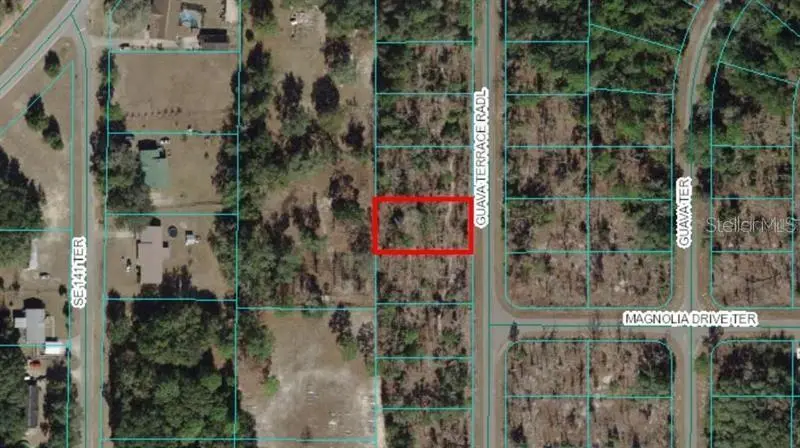 0 GUAVA TERRACE RADIAL, Ocklawaha, FL 32179