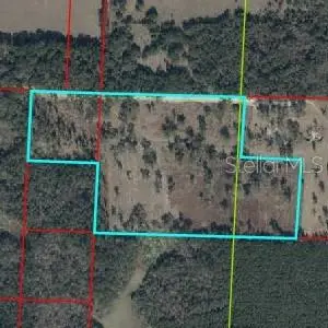 NE 172ND CT, Williston, FL 32696