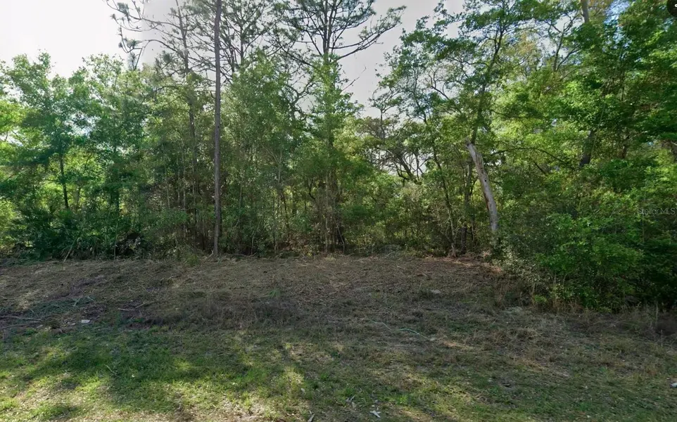 10830 N HATARI DR, Citrus Springs, FL 34434