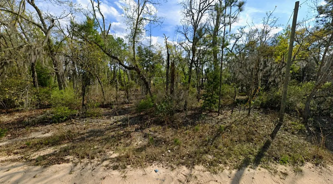 CLAUDIA ST, Interlachen, FL 32148