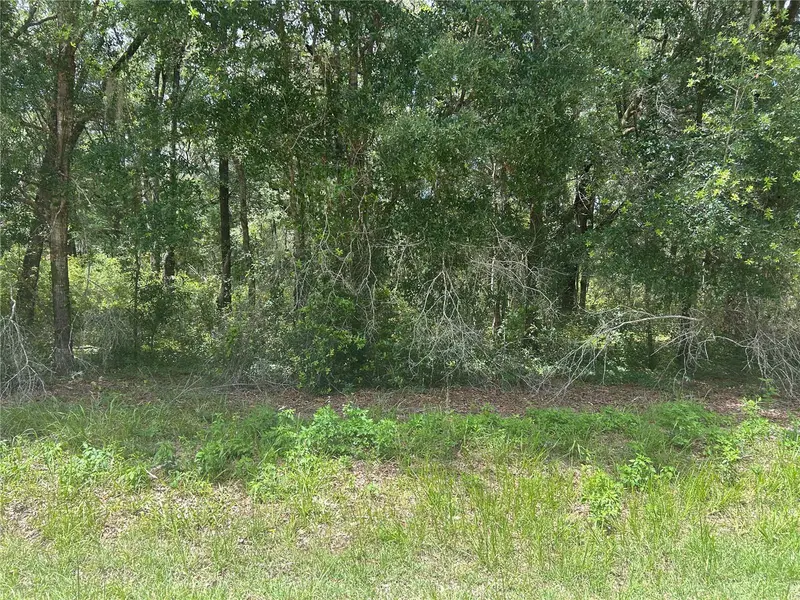 SW 111 LN, Dunnellon, FL 34432