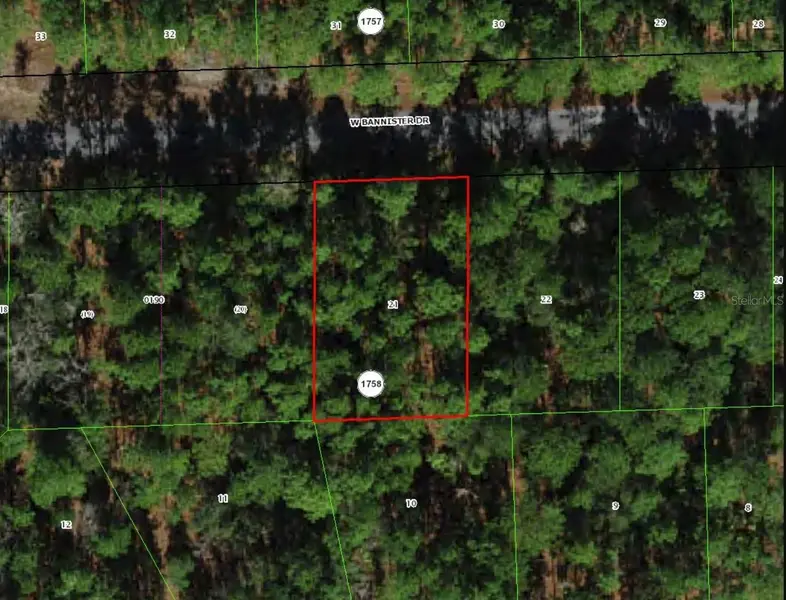 910 W BANNISTER DR, Citrus Springs, FL 34434