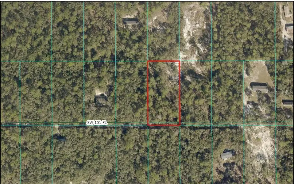 TBD SW 151ST PL, Dunnellon, FL 34432