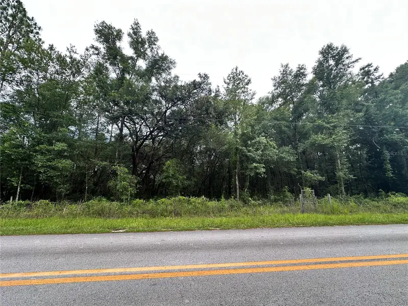 TBD NE 65TH LN, Bronson, FL 32621