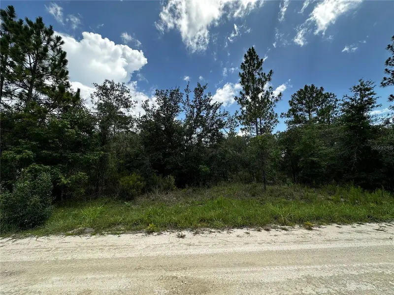 12930 NE 15TH ST, Williston, FL 32696