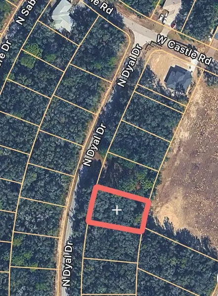 10161 N DYAL DR, Citrus Springs, FL 34434