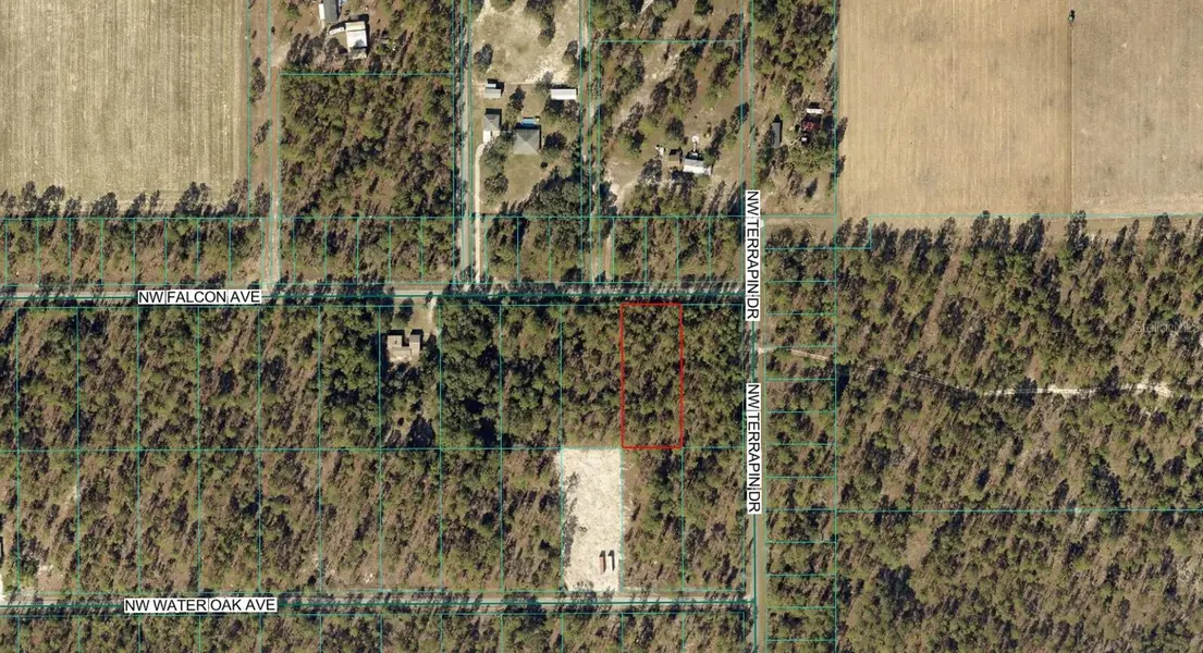 00 NW FALCON AVE, Dunnellon, FL 34431