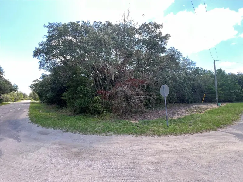 LOT 36 BLK1140 FISHER WAY TRAIL, Ocklawaha, FL 32179