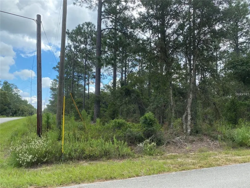 00 SW BUENA VISTA RD, Dunnellon, FL 34431