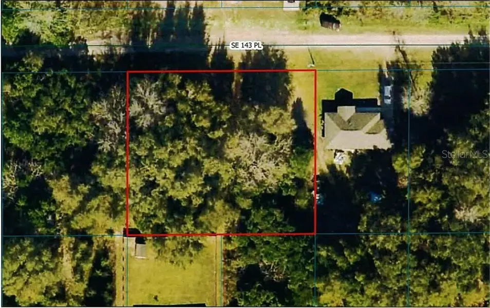 TBD SE 143RD PL, Summerfield, FL 34491