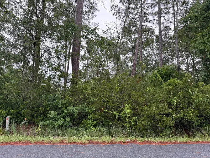 TBD REDWOOD TRACK CRSE, Ocala, FL 34472
