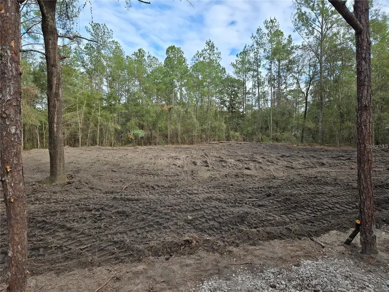 NE 127TH CT, Williston, FL 32696
