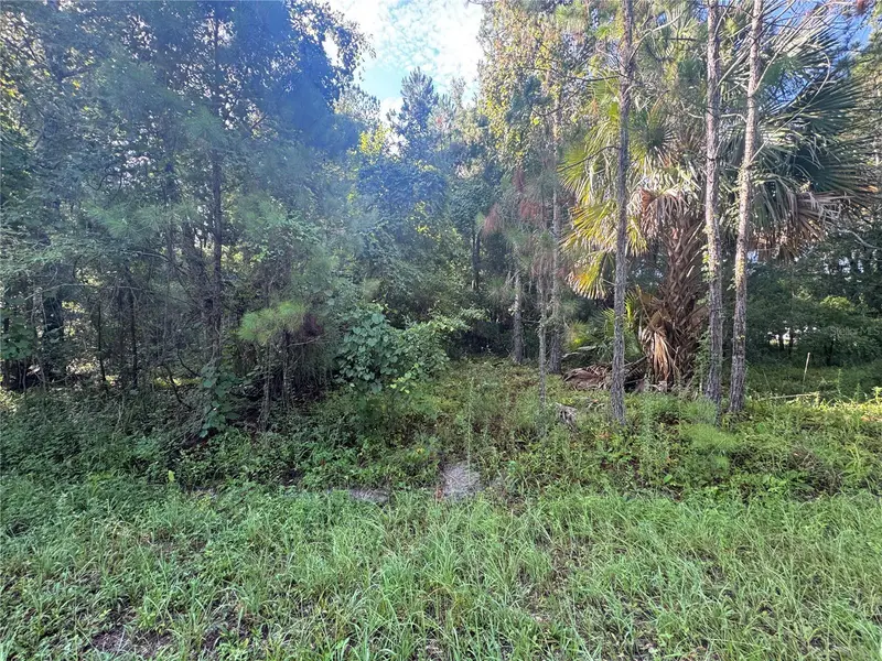 TBD SEQUOIA LOOP DR, Ocklawaha, FL 32179