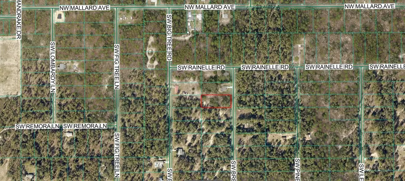 00 SW BREEZY POINT DR, Dunnellon, FL 34431