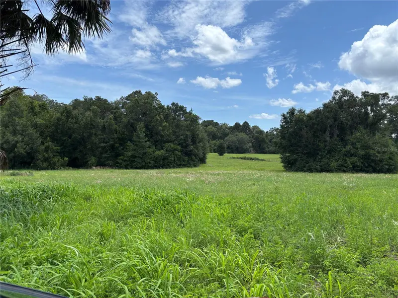 NE 23, Citra, FL 32113
