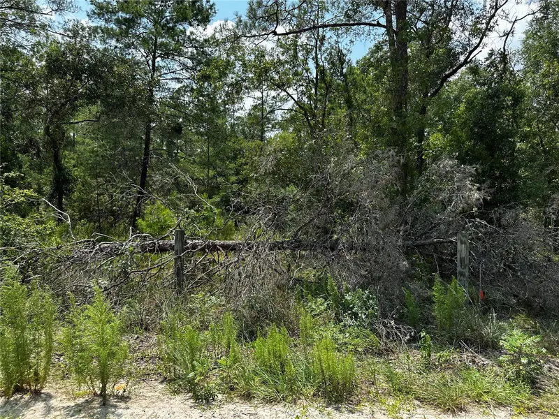 6270 NE 139TH AVE, Williston, FL 32696