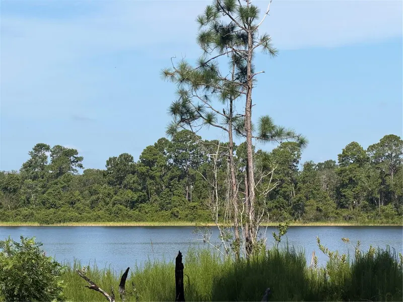 TBD MALAUKA RADL, Ocklawaha, FL 32179