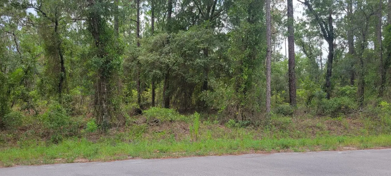 0 NW HIGHVIEW AVE, Dunnellon, FL 34431