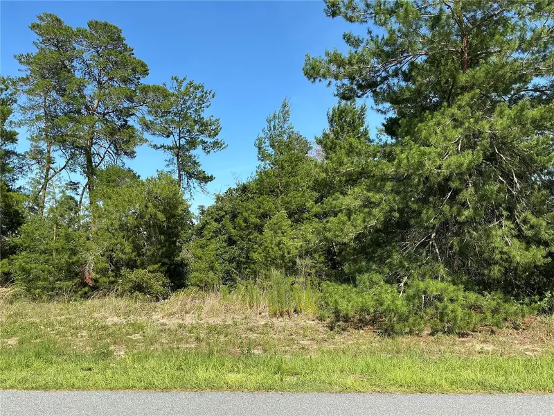 TBD SW 35TH AVENUE RD, Ocala, FL 34473