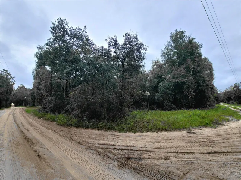 TBD NE 81ST TER DR, Bronson, FL 32621