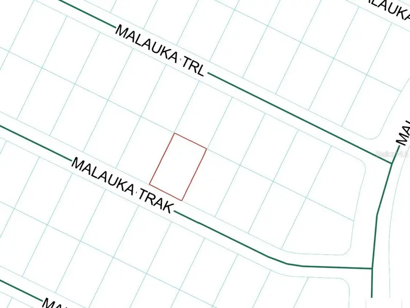 MALAUKA TRAK, Ocklawaha, FL 32179