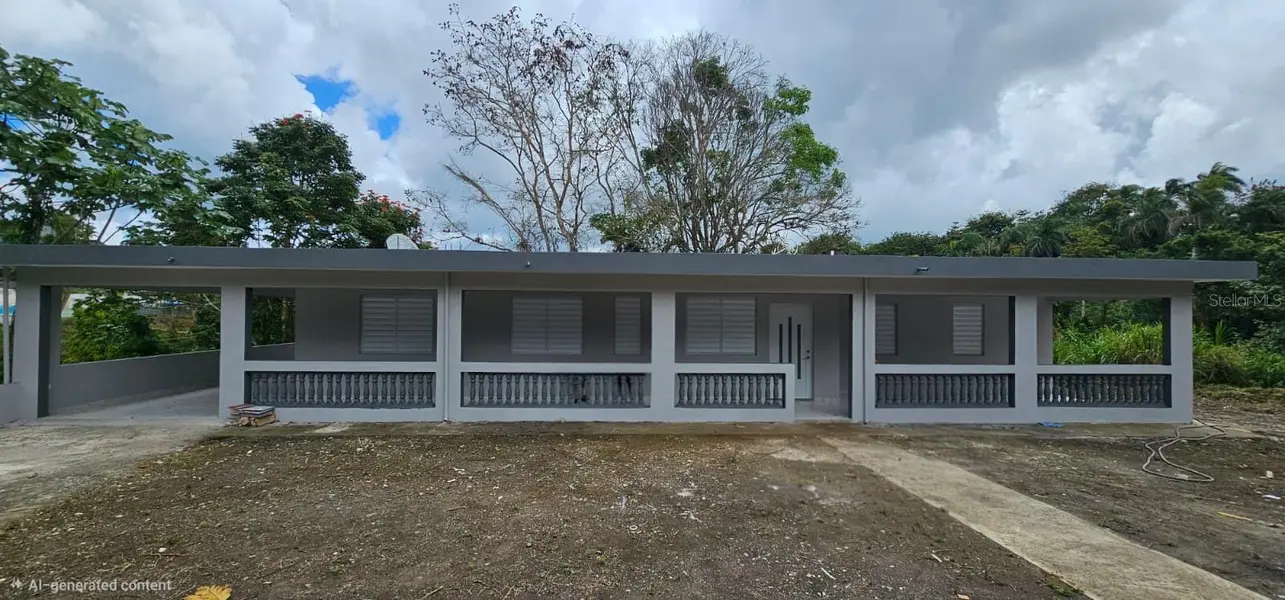 156 BO. BAYAMONCITO, Aguas Buenas, PR 00703
